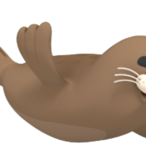 Harbor seal PNG