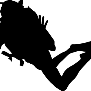 Diver PNG