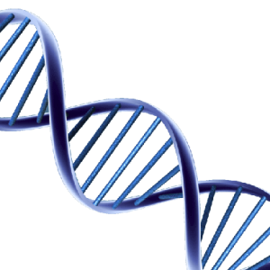 DNA PNG