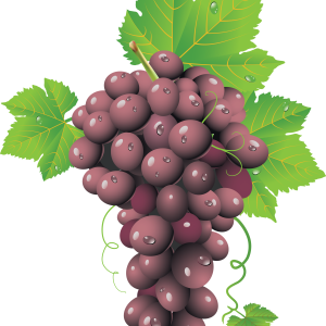 Red grape PNG image