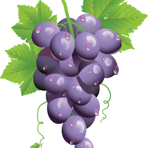 Grape PNG image
