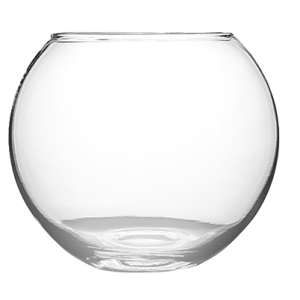 Aquarium PNG