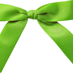Green bow PNG image