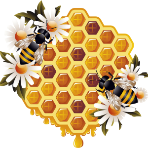 Honey PNG