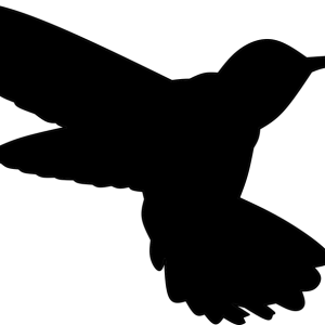 Hummingbird PNG