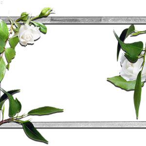 Picture, photo frame PNG