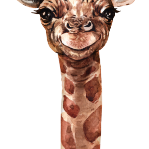 Giraffe PNG