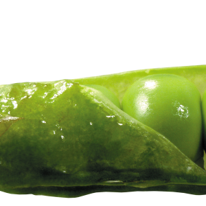 Pea PNG