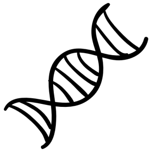 DNA PNG