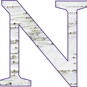 Letter N PNG