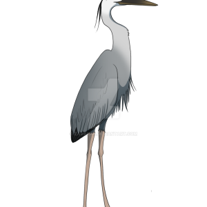Heron PNG