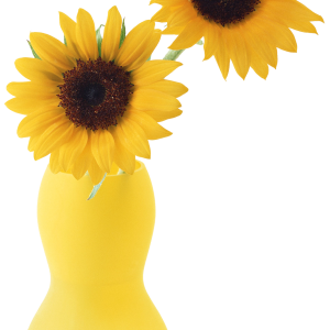 Sunflower PNG