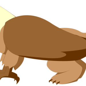 Griffin PNG