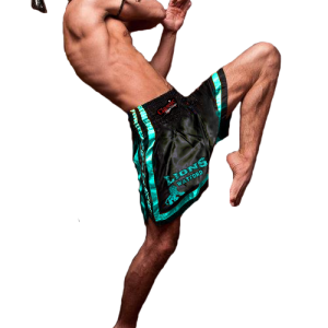Muay Thai PNG