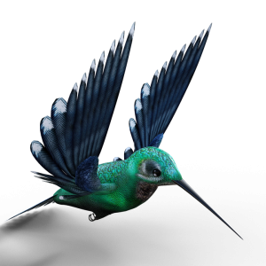 Hummingbird PNG