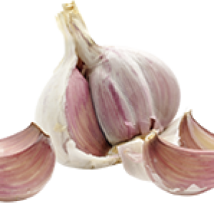 Garlic PNG