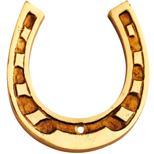 Horseshoe PNG