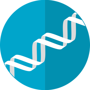 DNA PNG