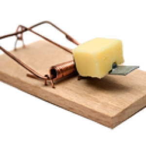 Mouse trap PNG