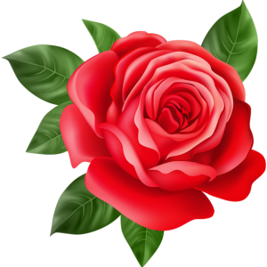 Rose PNG