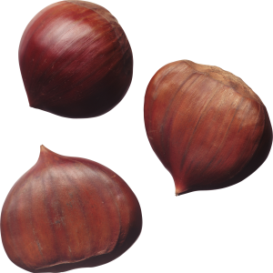 hazelnut PNG