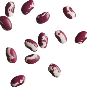 Kidney beans PNG