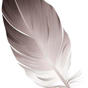 Feather PNG