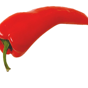 Red chili pepper PNG image