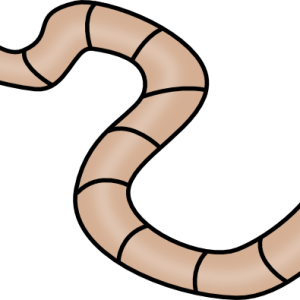 earthworm worm PNG