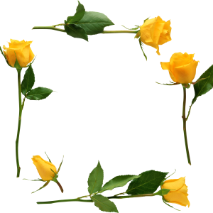 Floral frame PNG