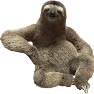 Sloth PNG