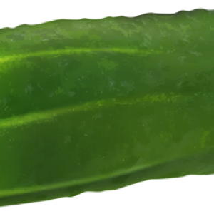 Large cucumber PNG