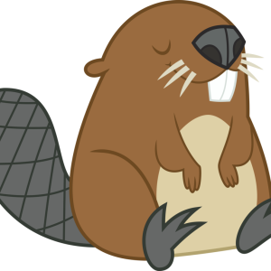 Beaver PNG