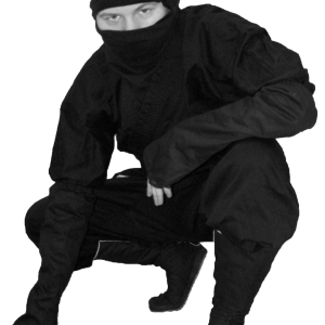 Ninja PNG
