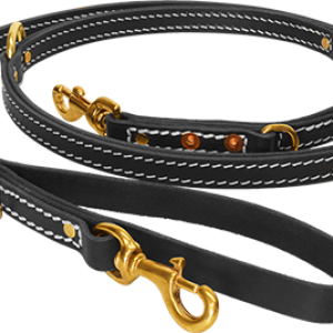 Leash PNG