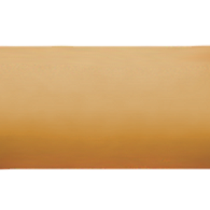 Bone PNG