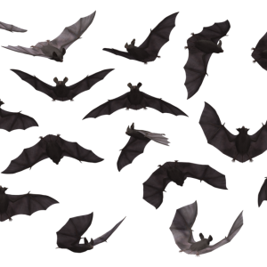 Bat PNG