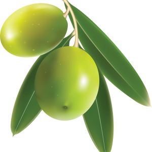 Olive PNG