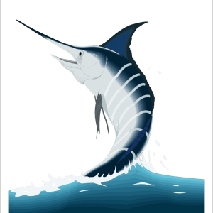 Swordfish fish PNG