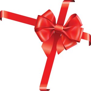 Bow gift PNG image