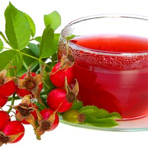 Rose hip PNG