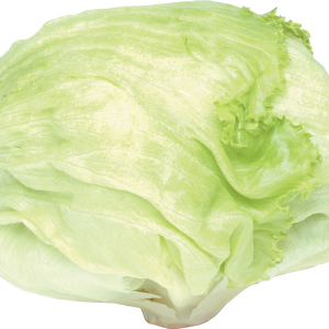 Cabbage PNG image