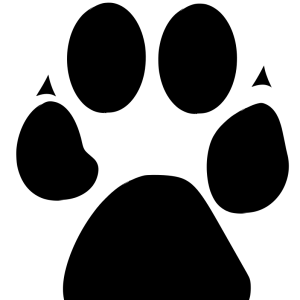 Paw PNG