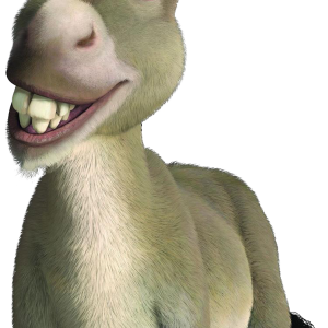 Donkey PNG