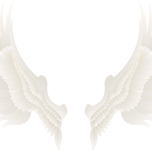 Wings PNG