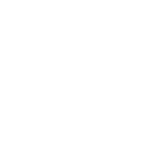 Ozon logo PNG