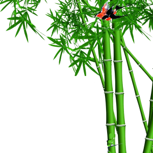Bamboo PNG