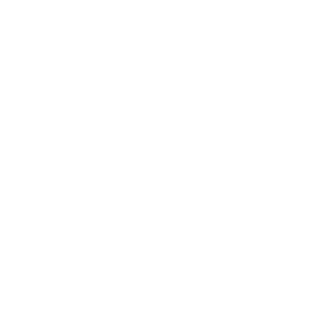 Polar white bear PNG