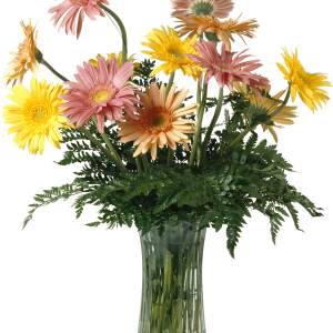 Vase PNG