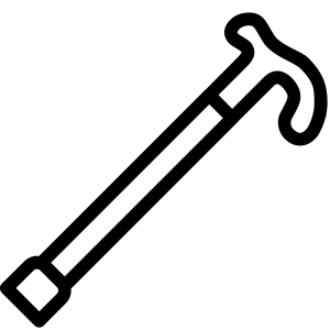 Walking stick PNG
